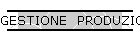 GESTIONE  PRODUZIONE