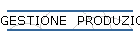 GESTIONE PRODUZIONE